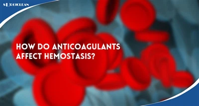 Com afecten els anticoagulants l'hemòstasi? Una guia pràctica per a distribuï...