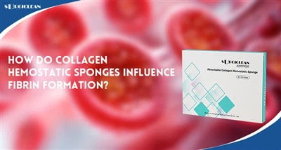 Com influeixen les esponges hemostàtiques de col·lagen en la formació de fibr...